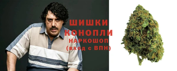 амф Горнозаводск