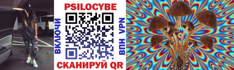 omg ТОР  закладка  Сенгилей  Псилоцибиновые грибы Psilocybine cubensis 